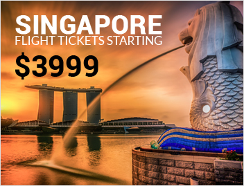 Flight to Singapore